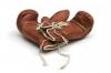 901669_boxing_gloves.jpg