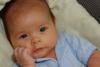 948944_newborn.jpg
